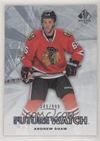 Future Watch - Andrew Shaw #/999