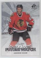 Future Watch - Andrew Shaw #/999