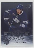 Jake Gardiner #/249