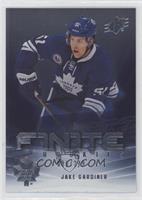 Jake Gardiner #/249