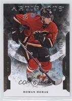 Rookie - Roman Horak #/699