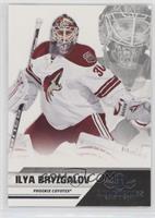 Ilya Bryzgalov