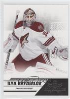 Ilya Bryzgalov