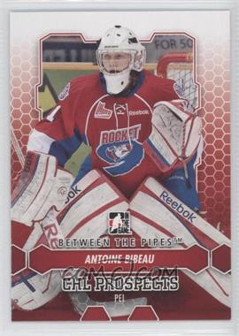 2012-13 In the Game Between the Pipes - [Base] #46 - Antoine Bibeau