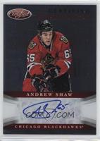 Andrew Shaw