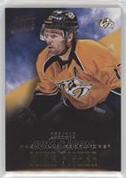 Mike Fisher #/249
