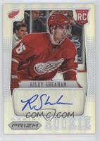 Riley Sheahan