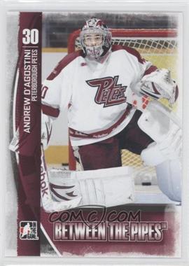 2013-14 In the Game Between the Pipes - [Base] #24 - Andrew D'Agostini