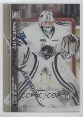 2013-14 In the Game Heroes and Prospects - [Base] #181 - Alex Nedeljkovic