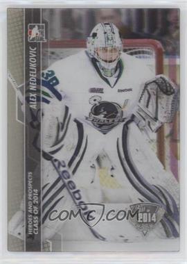 2013-14 In the Game Heroes and Prospects - [Base] #181 - Alex Nedeljkovic