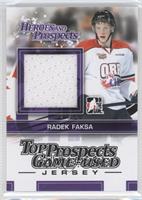 Radek Faksa #/160