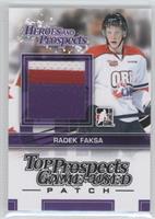 Radek Faksa #/30