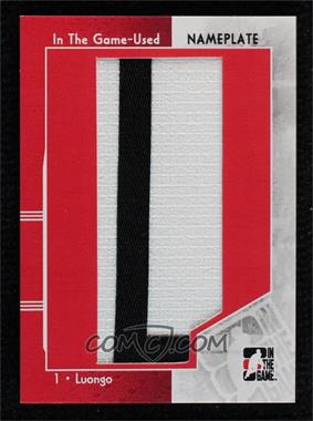 2013-14 In the Game-Used - Nameplate #NP-260 - Roberto Luongo /1