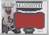 Eric Gryba #/50