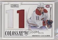 Brendan Gallagher #/25