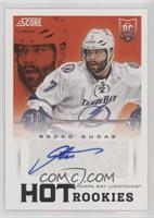 Radko Gudas