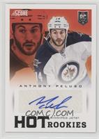 Hot Rookies - Anthony Peluso