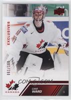 Cam Ward #/100