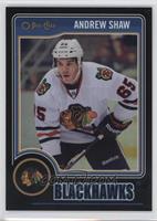 Andrew Shaw #/100