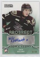 Zach Gallant #/30