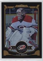 Cam Ward #/100