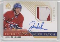 Future Watch - Jacob de la Rose #/100