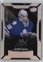 Lustrous Rookies Signatures - Antoine Bibeau #/299