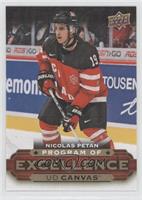 Program of Excellence - Nicolas Petan