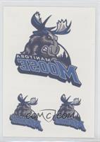 Manitoba Moose