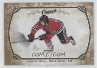 Andrew Shaw