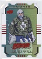 Teal - Level 3 - Antoine Bibeau