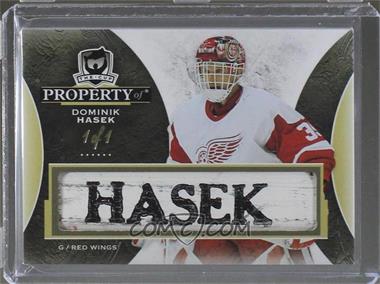 2015-16 Upper Deck The Cup - Property of Stick Nameplates #PO-DH - Dominik Hasek /1