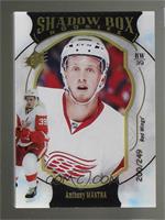 Shadow Box Rookies - Anthony Mantha #/249