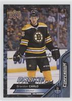 Rookies - Brandon Carlo