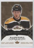 Hot Prospects - Brandon Carlo #/399