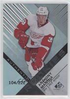 Authentic Rookies - Anthony Mantha #/222