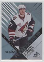 Authentic Rookies - Anthony DeAngelo #/221