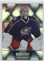 Sergei Bobrovsky