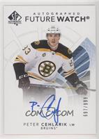 Autographed Future Watch - Peter Cehlarik #/999