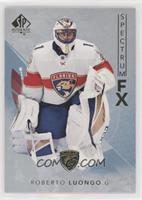 Veterans - Roberto Luongo