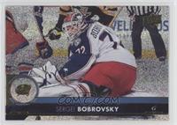 Sergei Bobrovsky