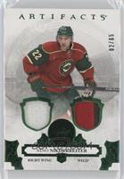 Nino Niederreiter #/65