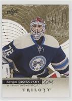 Sergei Bobrovsky