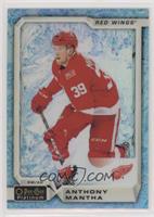 Anthony Mantha #/79