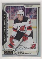 Marquee Rookies - Joey Anderson