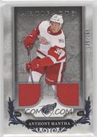 Anthony Mantha #/165