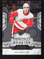 Filip Zadina #/399