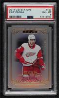 Rookies - Filip Zadina [PSA 8 NM‑MT] #/399