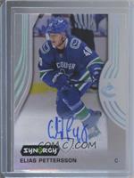 Veterans - Elias Pettersson #/19