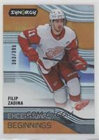 Filip Zadina #/399